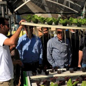 קורס הידרופוניקה מסחרי