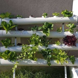 מרום - מערכת לגידול ורטיקלי