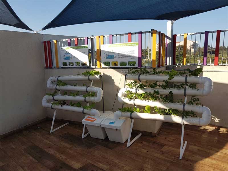 Vertical hydroponics for school