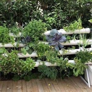 מרום - מערכת לגידול ורטיקלי