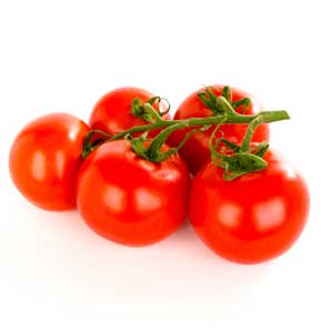 עגבניה הידרופונית