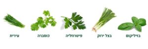 צמחי תבלין