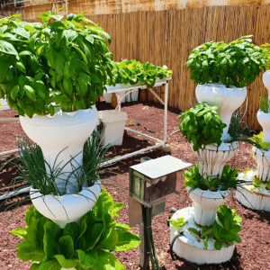 מרחב למידת חוץ בבית ספר