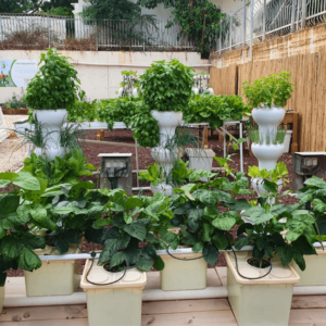 מרחב למידת חוץ בבית ספר