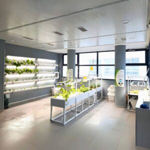 מתחם חקלאות עירונית בתוך בית הספר ולימודי תזונה