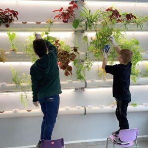 מתחם חקלאות עירונית בתוך בית הספר ולימודי תזונה