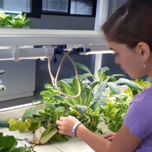 מעבדות מחקר למוסדות חינוך