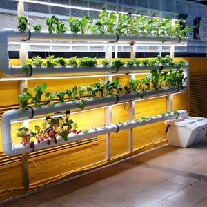 מרחב למידה ירוקה