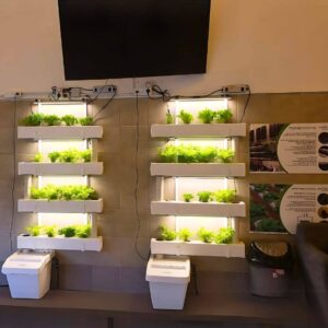 מרכז חדשנות ירוקה