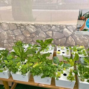 מרכז לחקלאות עירונית מתקדמת