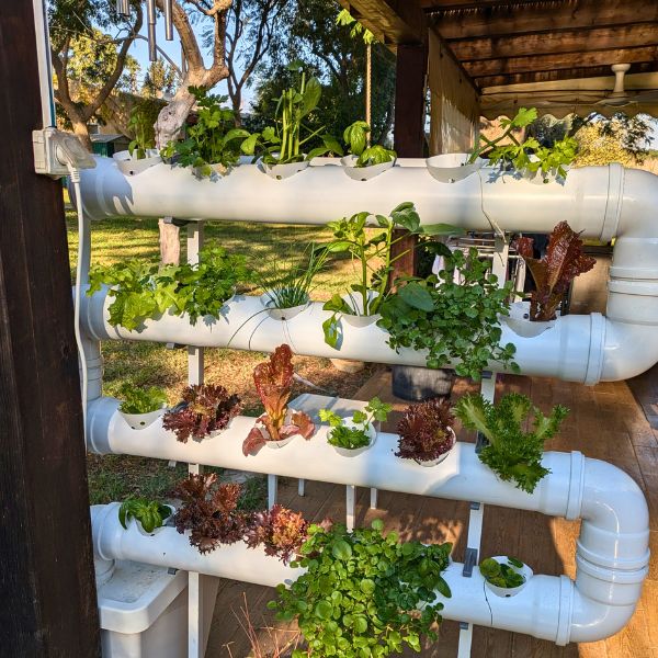 לילך מרגלית