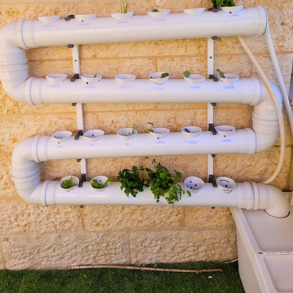 שי מוסקוביץ