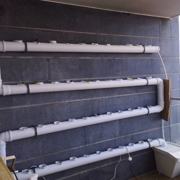 ישראל ישראלי