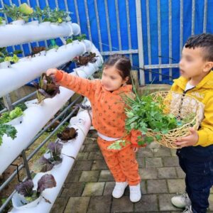 גידול ירקות לתלמידים