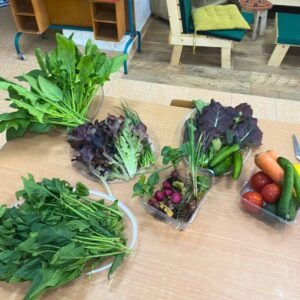 גידול ירקות לתלמידים