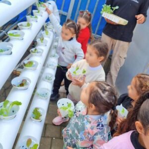 גידול ירקות לתלמידים