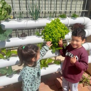 גידול ירקות לתלמידים