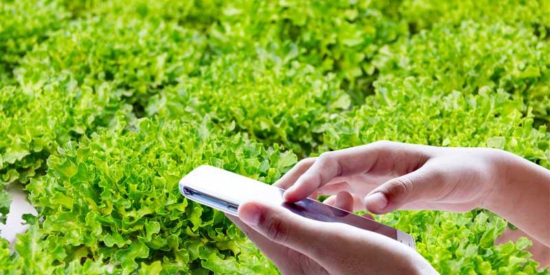 Phone-apps-for-hydroponics