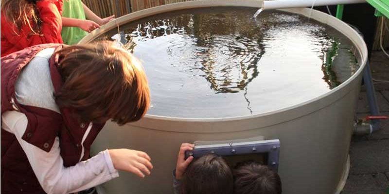 קבוצת ילדים ומורה מציצים בברכת הדגים במערכת אקוופוניקה