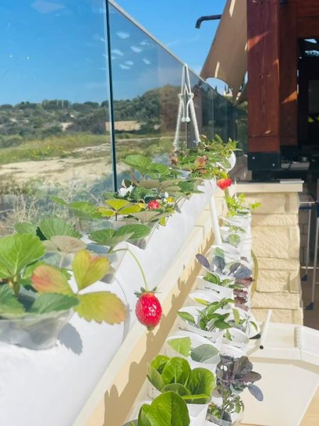 תמונה של WhatsApp‏ 2024-05-06 בשעה 12.27.05_af5e1f44