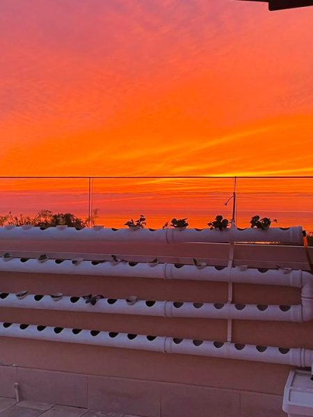 תמונה של WhatsApp‏ 2024-05-06 בשעה 12.27.05_fb6f8615