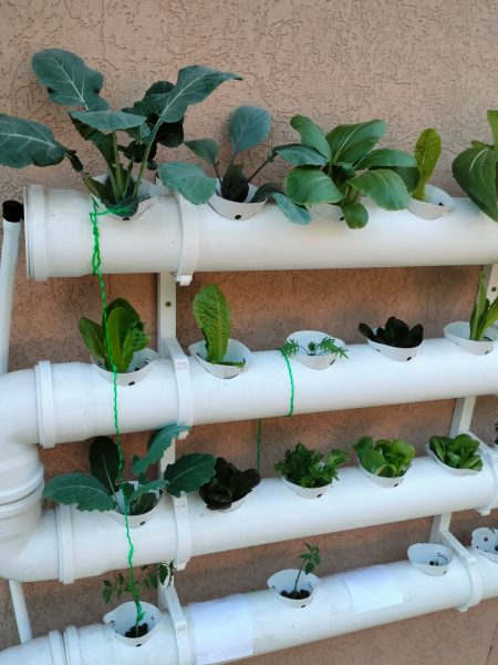 תמונה של WhatsApp‏ 2024-05-22 בשעה 15.37.22_f70b9921