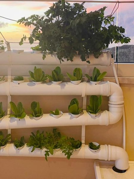 תמונה של WhatsApp‏ 2024-05-22 בשעה 15.37.23_948f7608