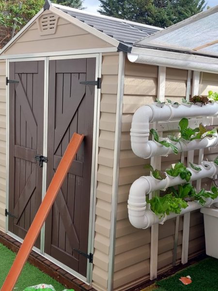 תמונה של WhatsApp‏ 2024-05-22 בשעה 16.46.04_43fe9ed6